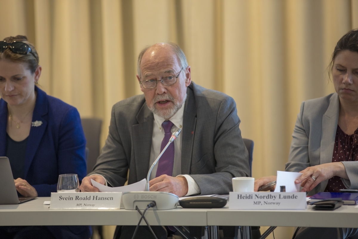 Centered: Mr Svein Roald Hansen, Member of the Norwegian Parliament, briefs the EEA Joint Parliamentary Committee on the EU Mobility Package.