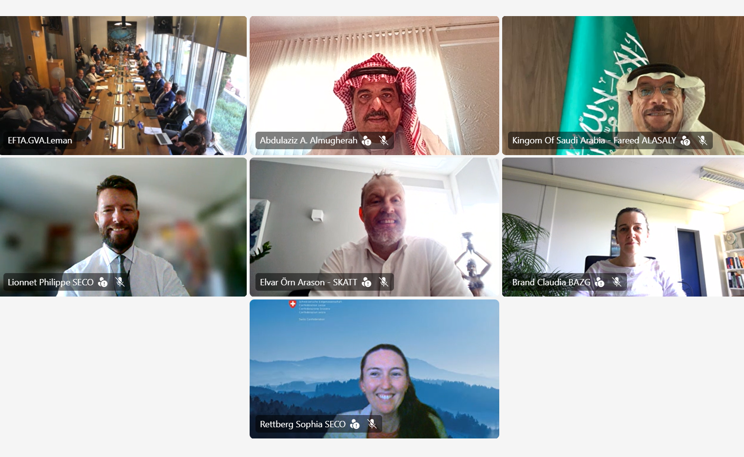 Online delegates attending the 5th EFTA–GCC Joint Committee Meeting.