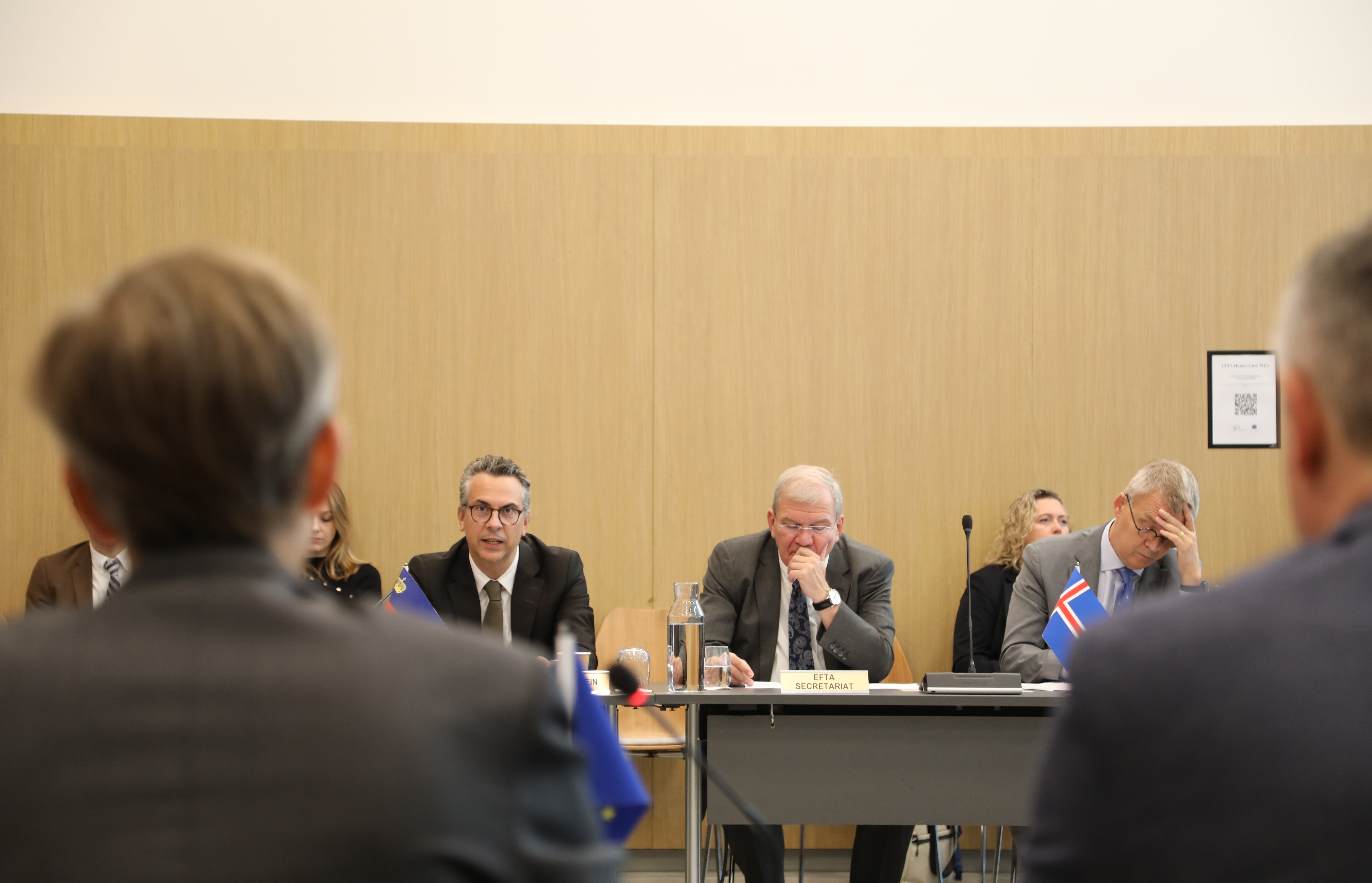 EFTA Secretariat at Joint Committee Meeting