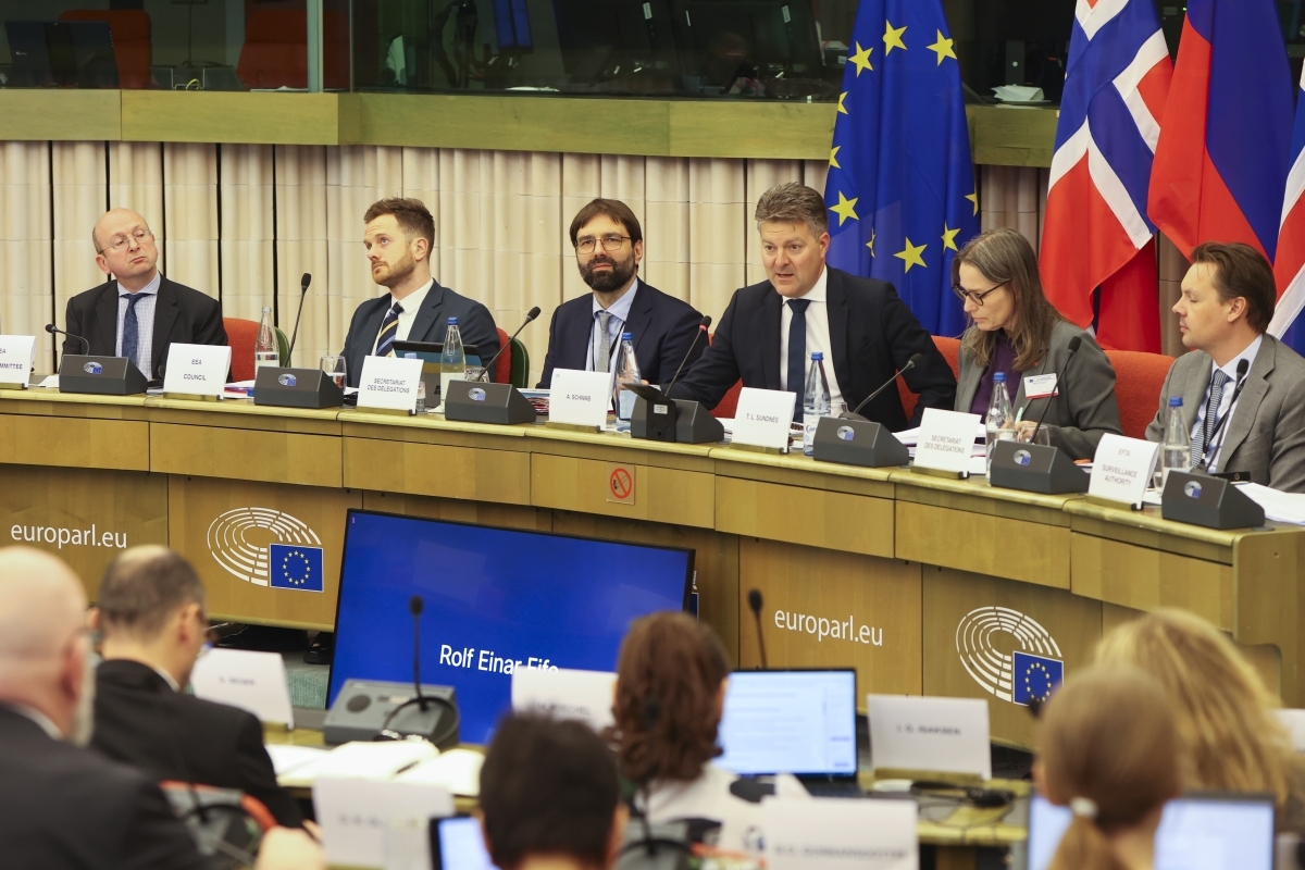 The 59th meeting of the EEA Joint Parliamentary Committee © European Union 2023 - Source : EP
