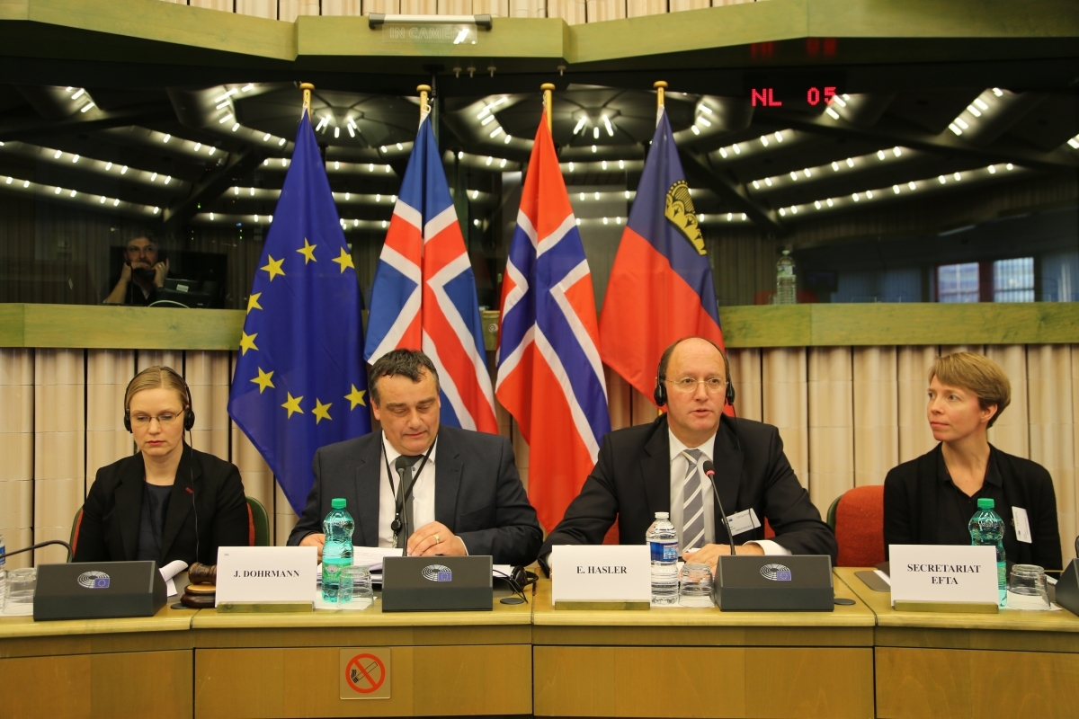 The meeting was chaired by Elfried Hasler, Chair of the EFTA Parliamentary Committee, and Jørn Dohrmann, MEP.