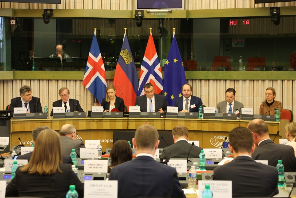 The EEA Joint Parliamentary Committee co-chaired by Jørn Dohrmann and Smári McCarthy