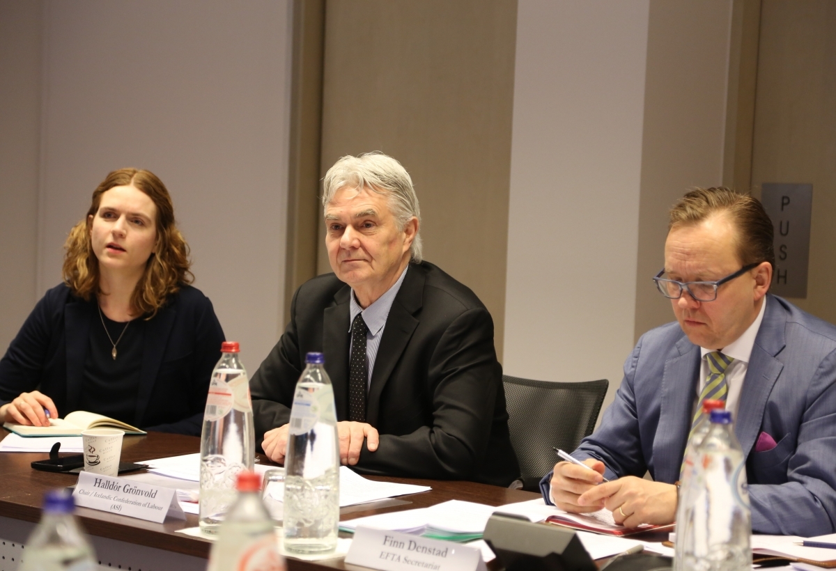 The EFTA Consultative Committee was chaired by Halldór Grönvold