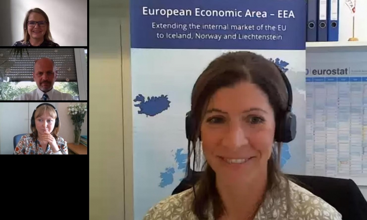 EFTA organises a special online session for EECCA