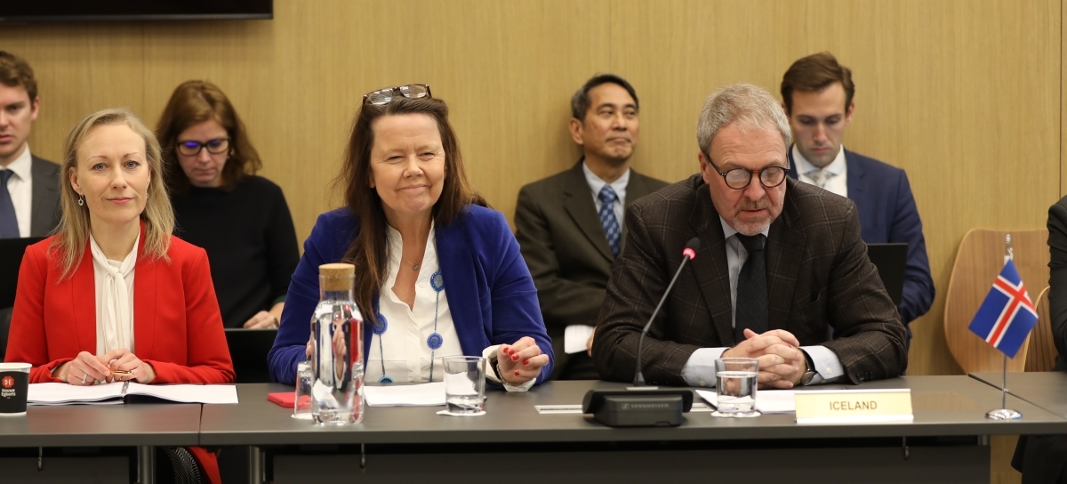 From left to right: Sesselja Sigurðardóttir - Deputy Head of Mission of Iceland to the EU; Katrín Auður Sverrisdóttir - Coordinator for EEA Cooperation, Prime Minister's Office, Ministry for Foreign Affairs; Kristján Andri Stefánsson - Ambassador of Iceland to the EU