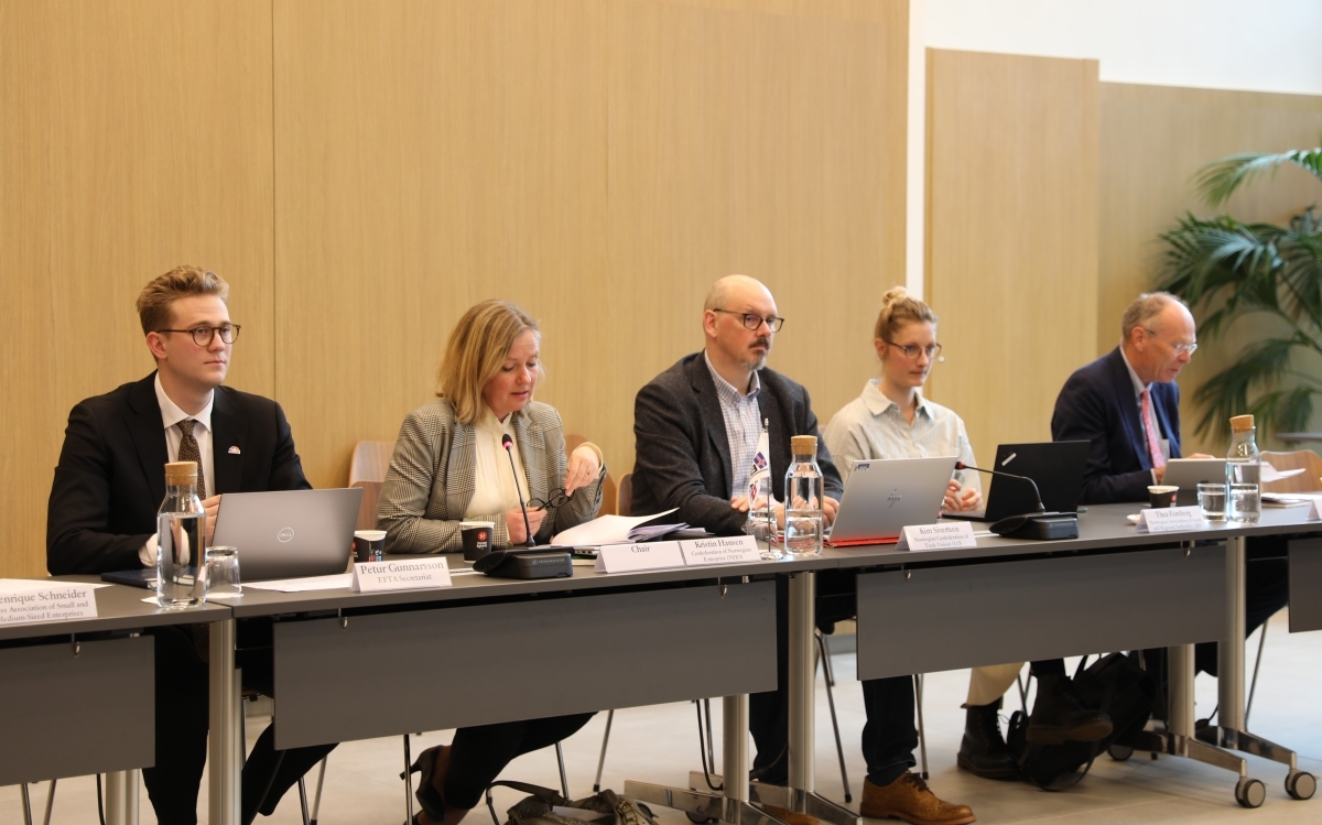 Meeting of the EFTA Consultative Committee chaired by Kristin Hansen, Chair of the EFTA CC