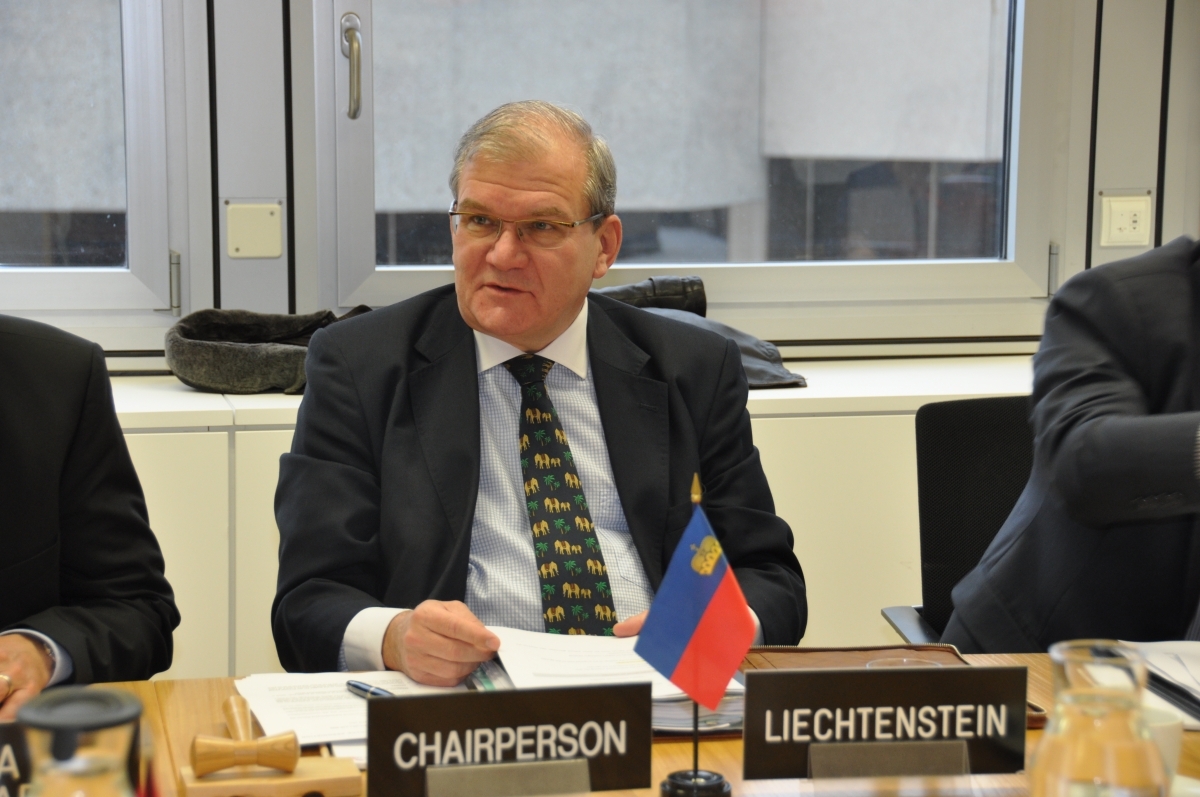 Mr Kurt Jäger - Ambassador of Liechtenstein (Chair)