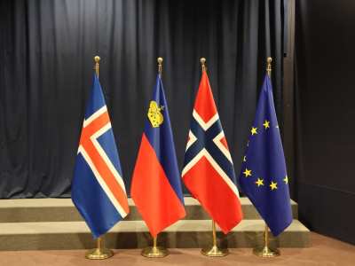 _018-11-13-eea-council-flags