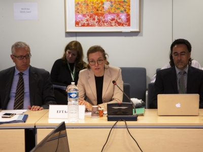 _019-05-08-eea-joint-committee