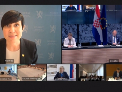 _020-05-25-eea-council
