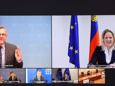 _020-11-18-eea-council