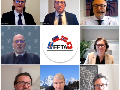 _20201-efta-council