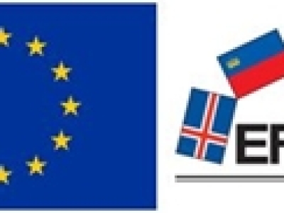 eu-efta-256pxl
