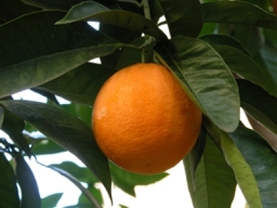 file00019351266641256